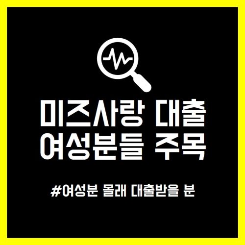 미즈사랑 대출