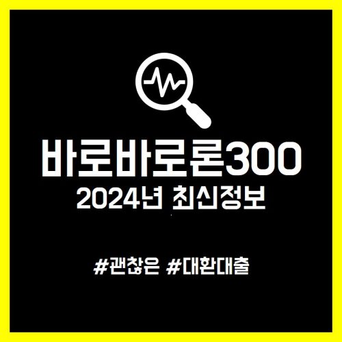 바로바로론 300 대출