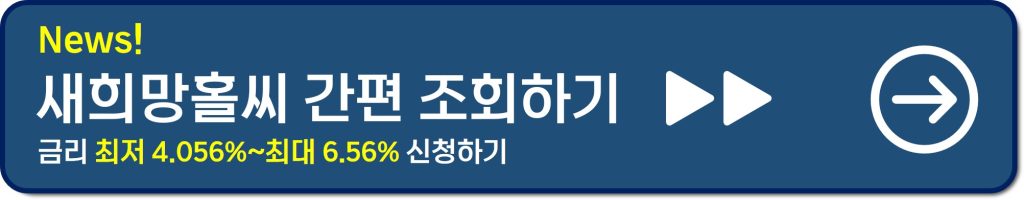 정부지원 대출