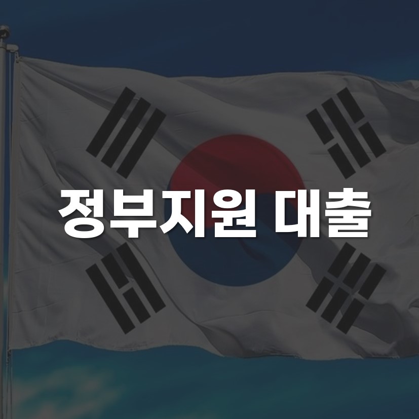 정부지원 대출