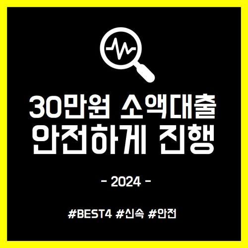 30만원 소액대출