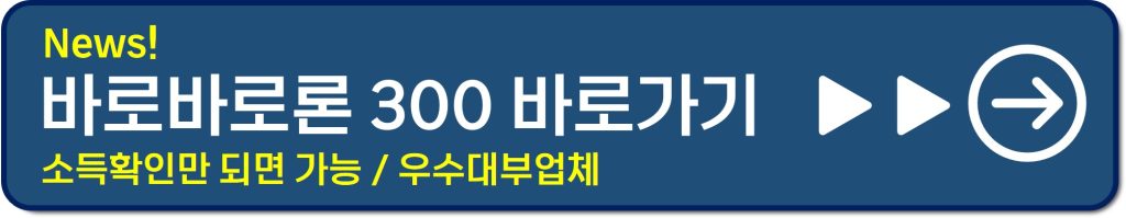 고령자 대출 100만원