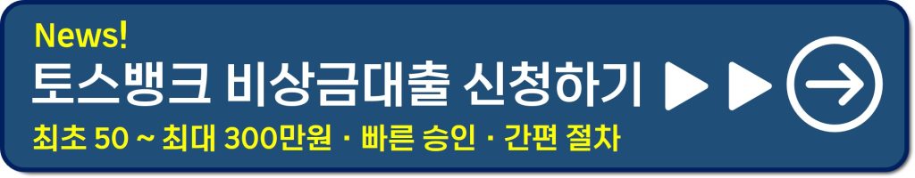 비상금 대출 300만원