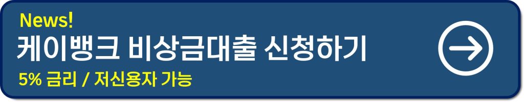 비상금 대출 300만원