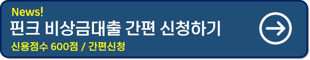 비상금 대출 300만원