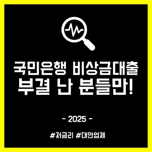 국민은행 비상금대출
