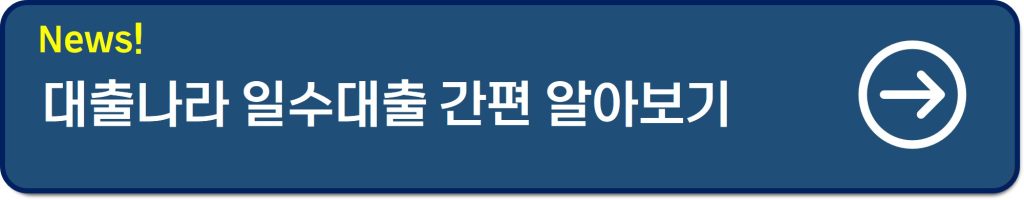 대출나라 일수대출